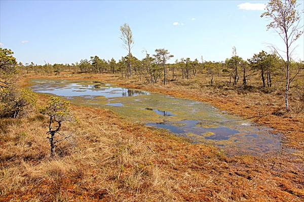 146-Национальныи парк Кемери